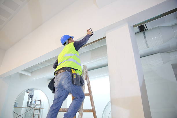 Best Water-Damaged Drywall Repair  in Indian Rocks Beach, FL